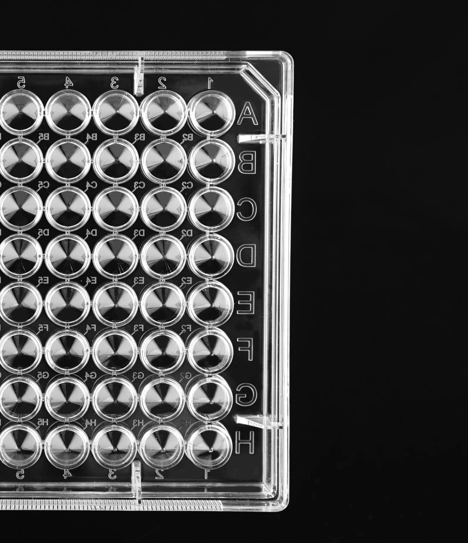 NEST Scientific 701201 - 96 Well TC Plate, V-bottom, Treated - Image 2